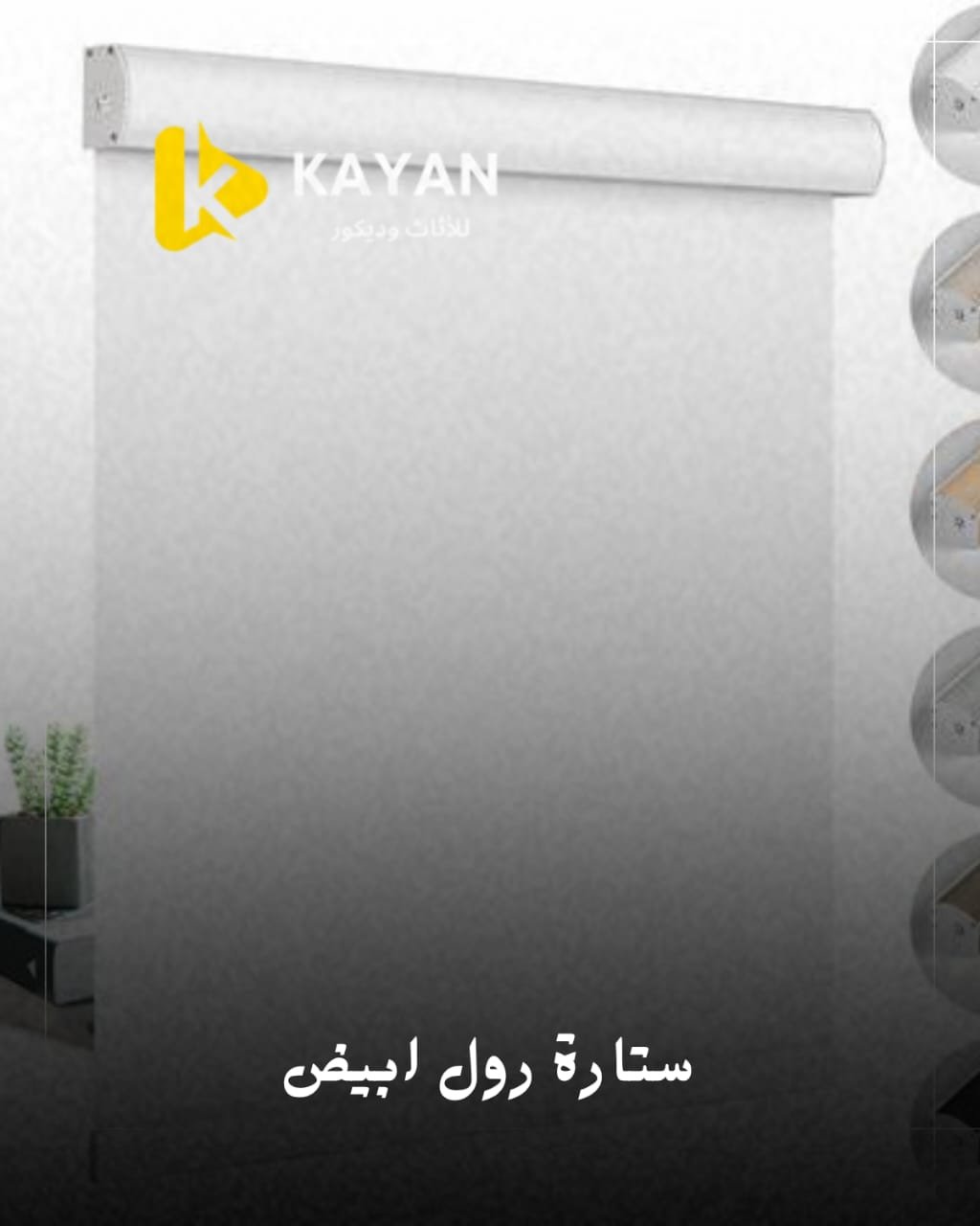 ستارة ورل ابيض