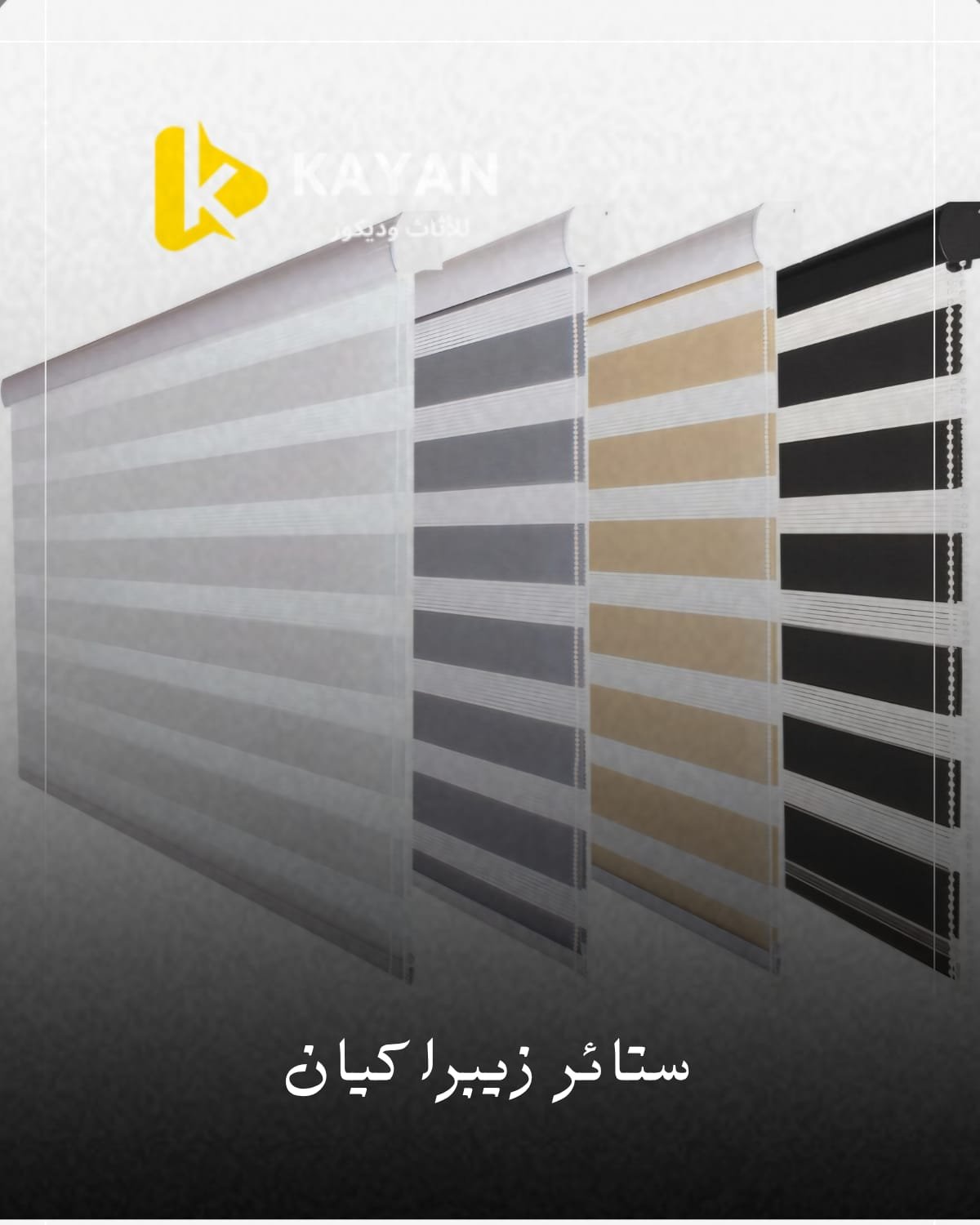 ستاير تركية زيبرا