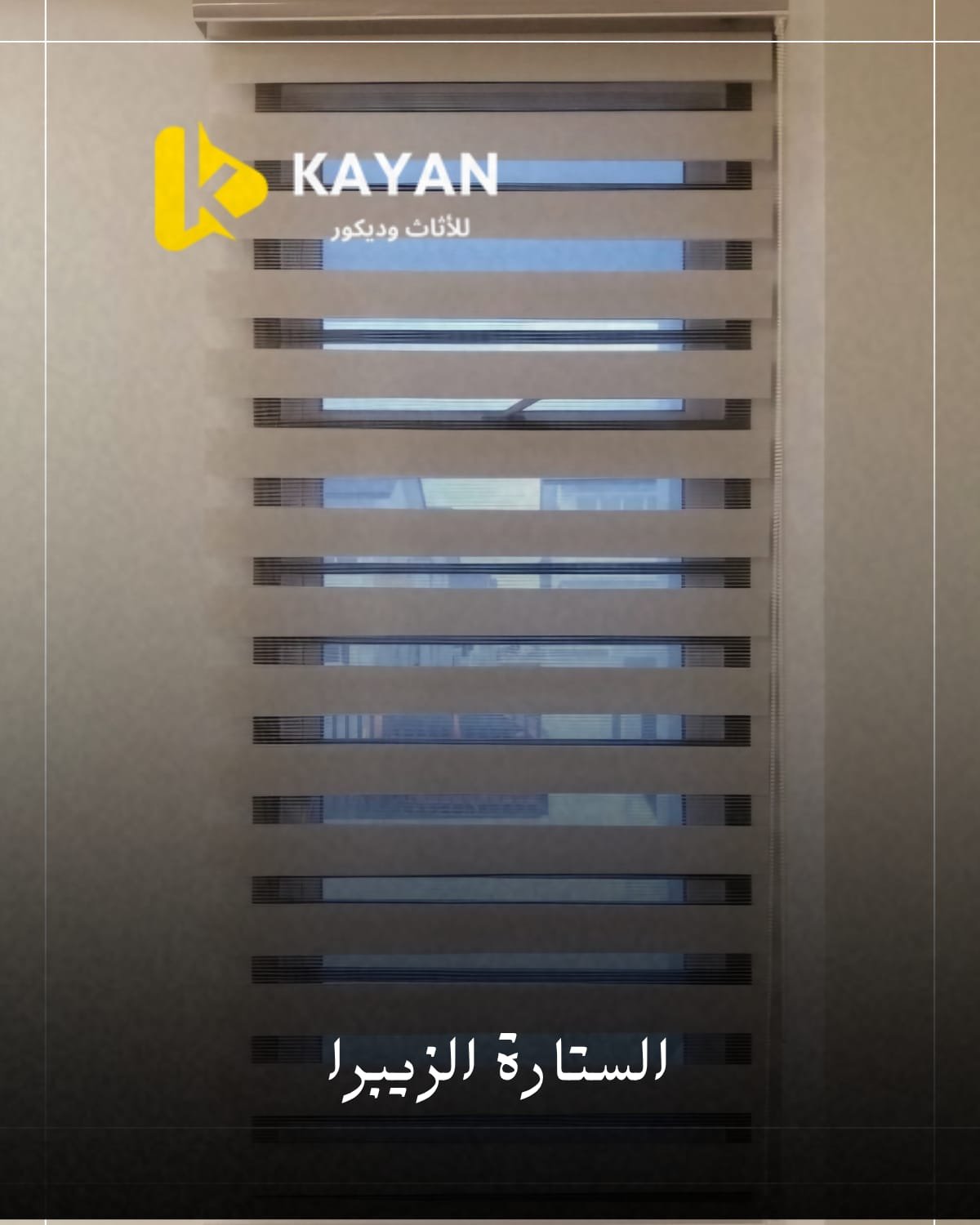 ستارة الزيبرا للحمام