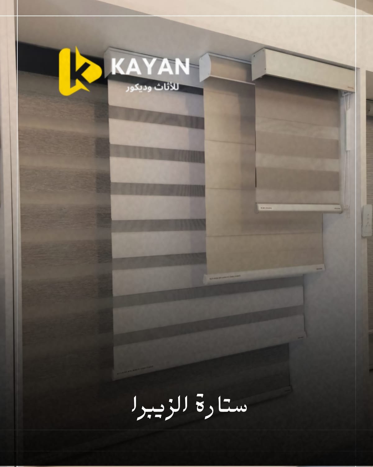 ستارة الزيبرا